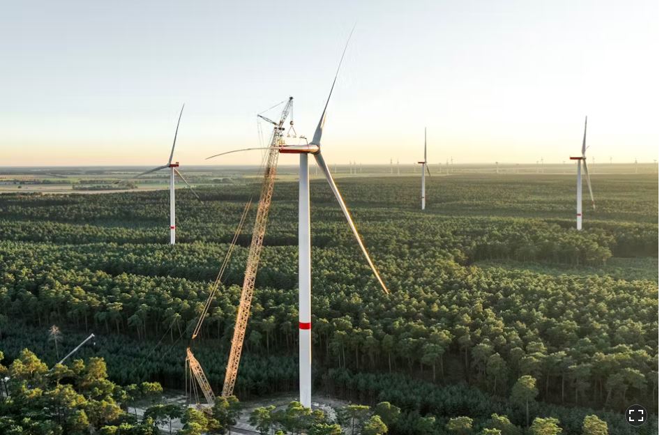 Windr%C3%A4der%20im%20Wald%20Berliner%20Zeitung%2014.6.2025